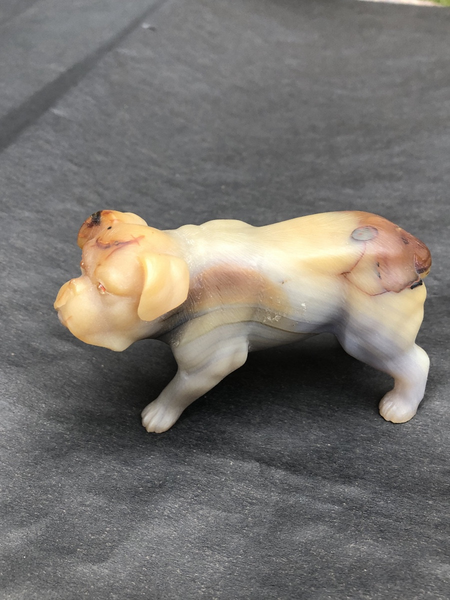 Russie 19 ème. Fabergé att.à « Boulldog Anglais «  en Agate sculptée Vers 1900-photo-5