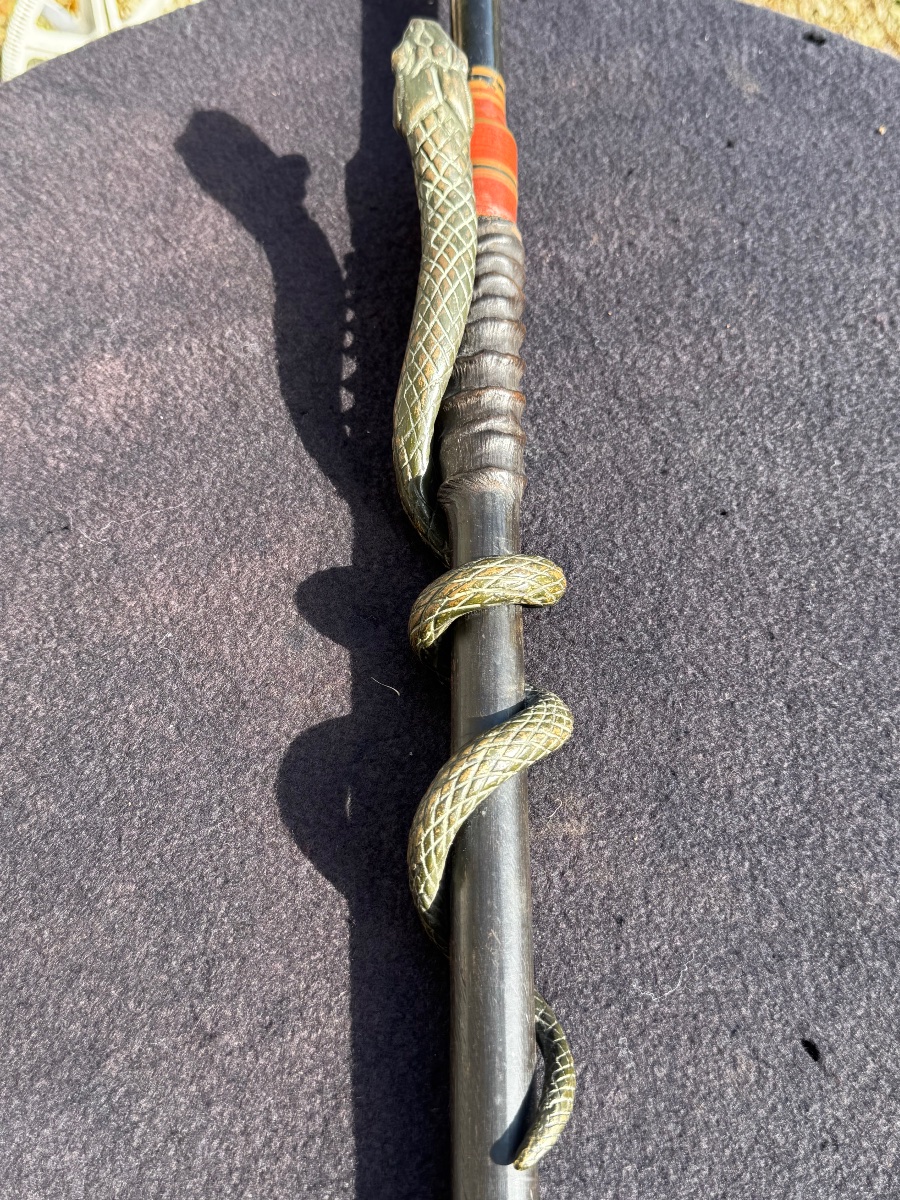 Canne Au Serpent & Corne fin XIX ème-photo-2