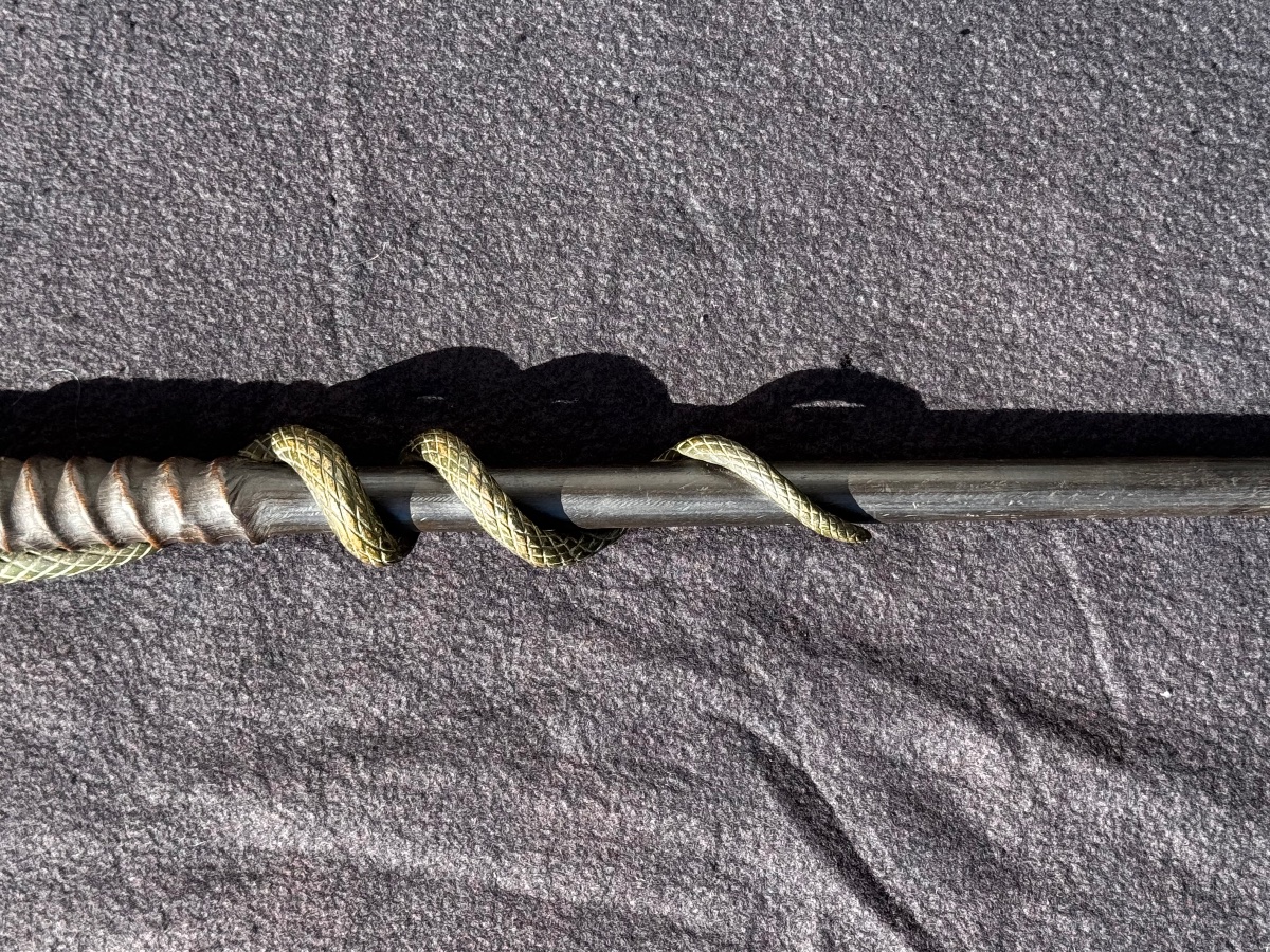 Canne Au Serpent & Corne fin XIX ème-photo-3