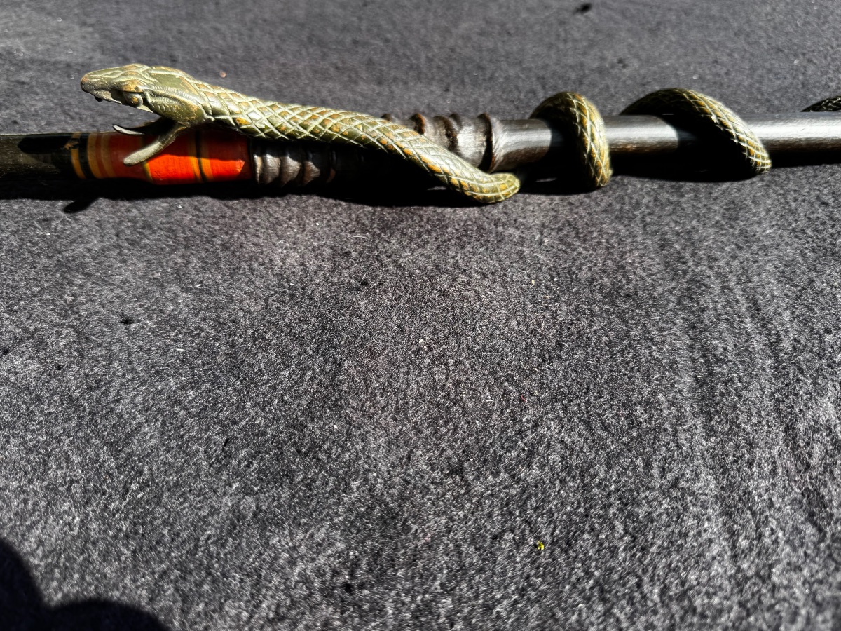 Canne Au Serpent & Corne fin XIX ème-photo-1