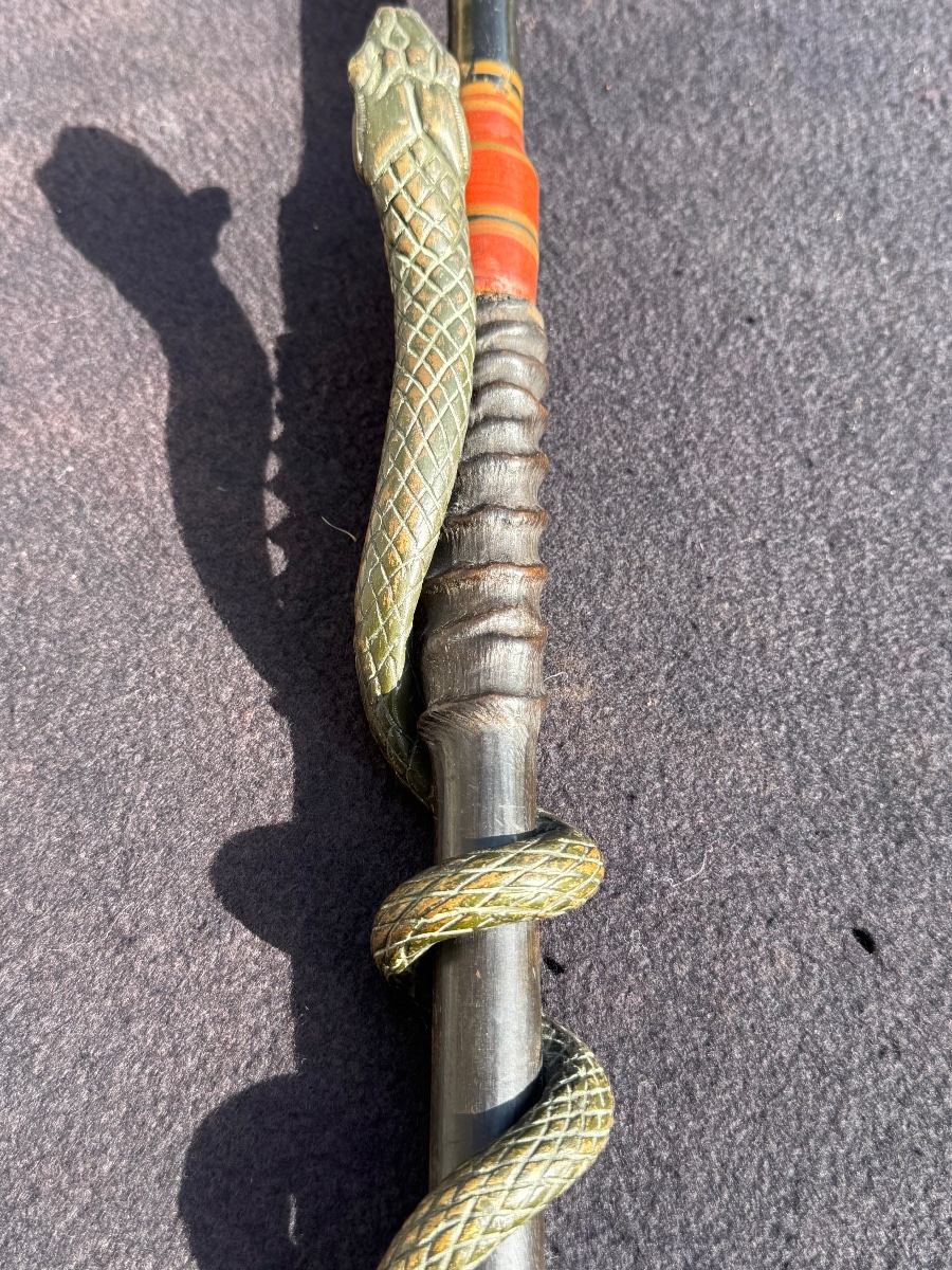 Canne Au Serpent & Corne fin XIX ème-photo-4