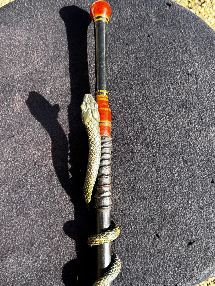 Canne Au Serpent & Corne fin XIX ème