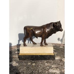 Taureaux En Bronze 1er tiers du 19 ème 