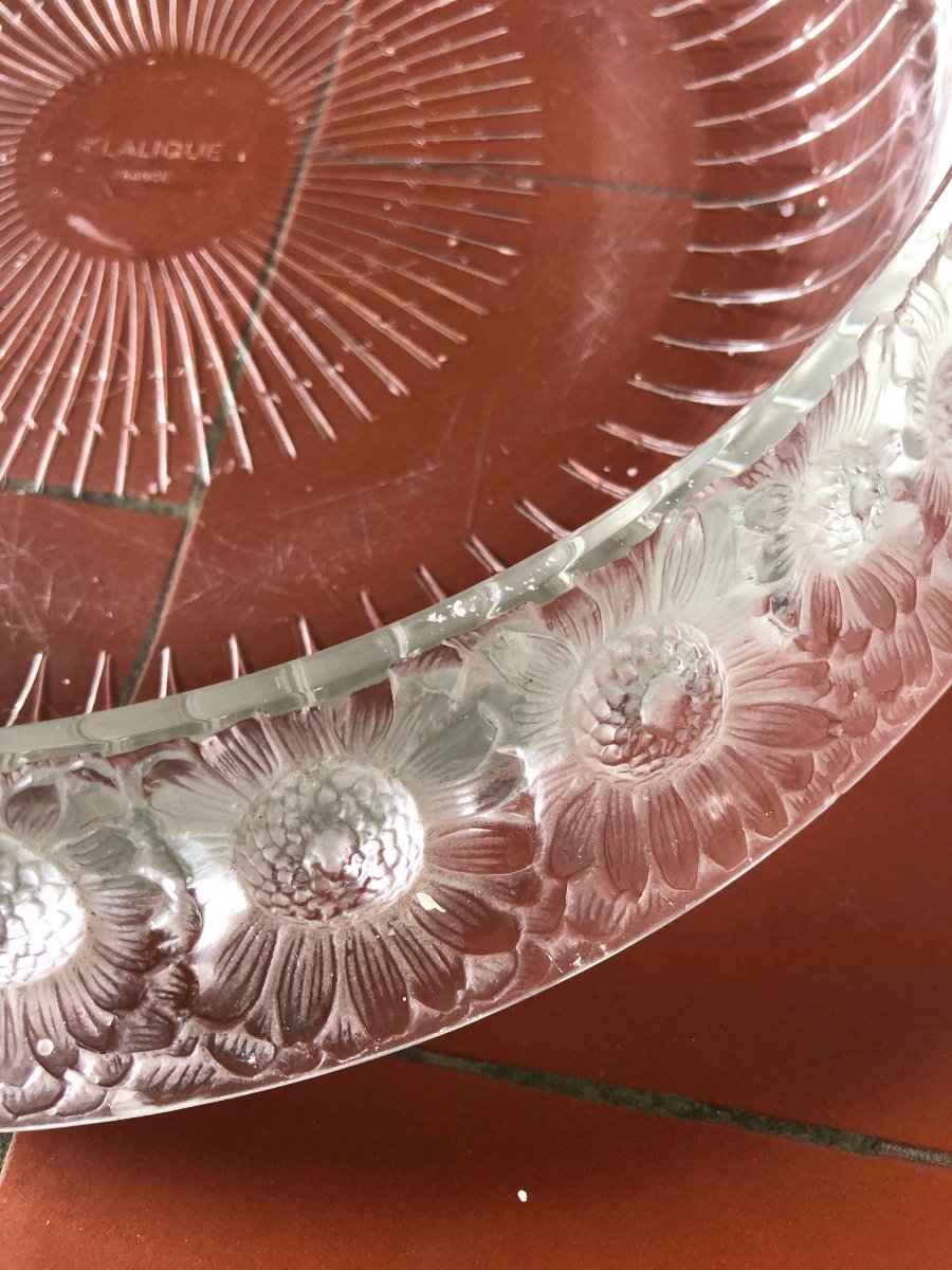 René Lalique Bowl "with Daisies" In Molded Crystal-photo-4