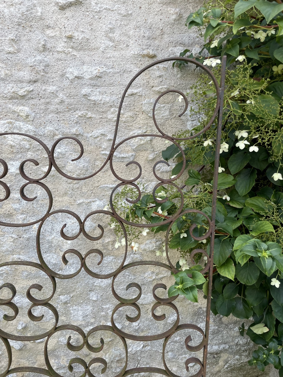 Grille en fer forgé -photo-3