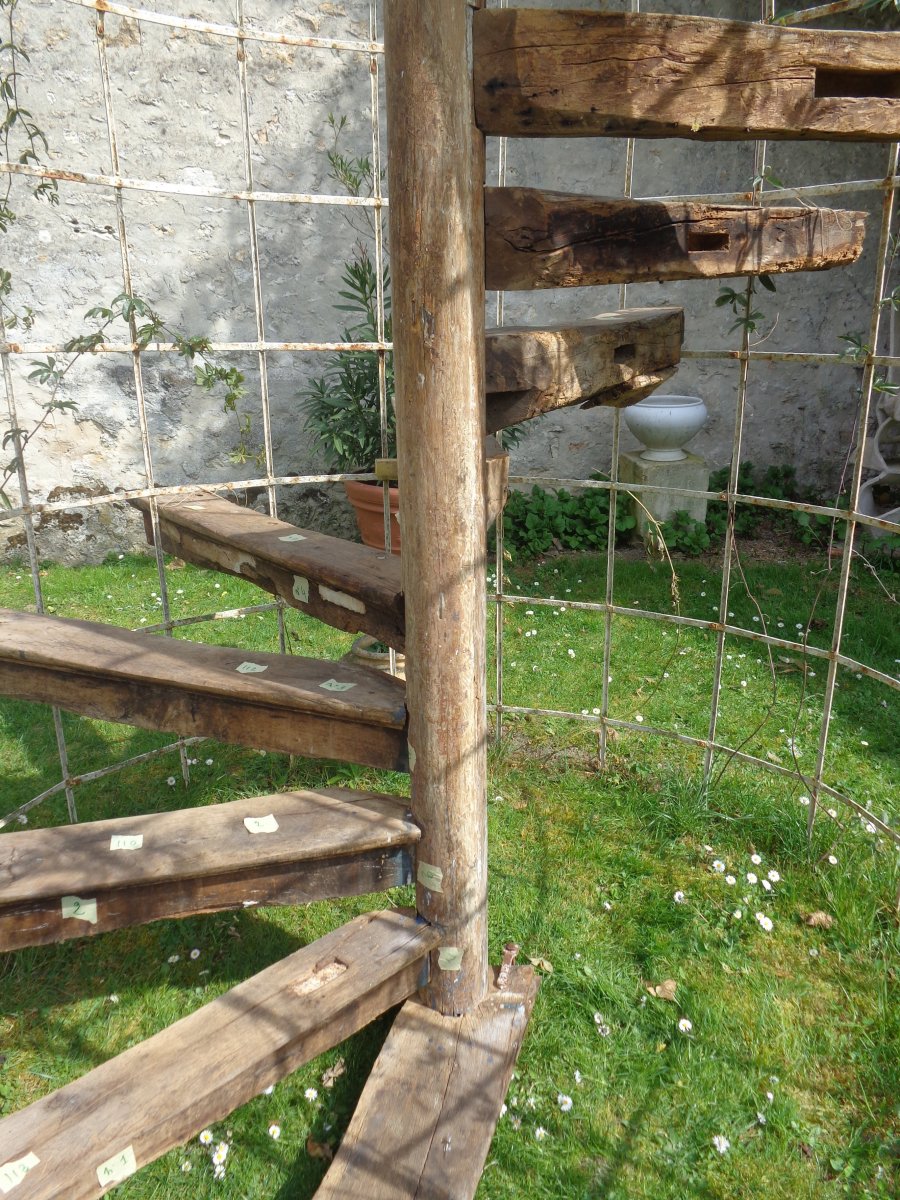 Escalier Hélicoidal a vis  XV- XVI ème En Chène