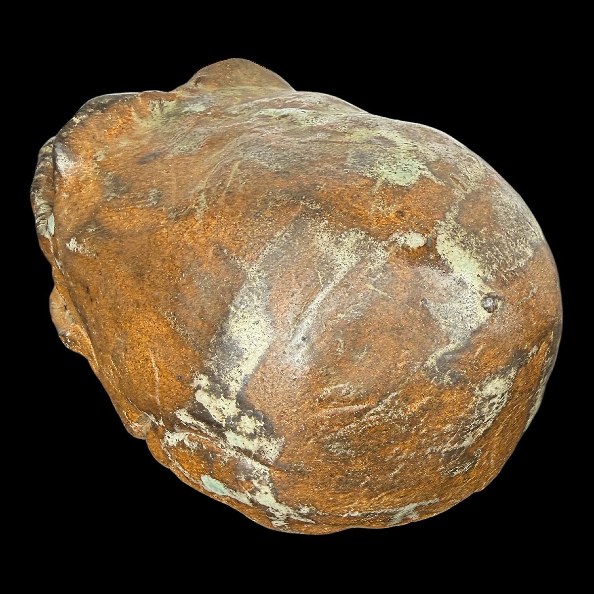 Sculpture Of A Hominid Specimen In Glazed Sandstone – Collection – Cabinet Of Curiosities – 20th Century-photo-3