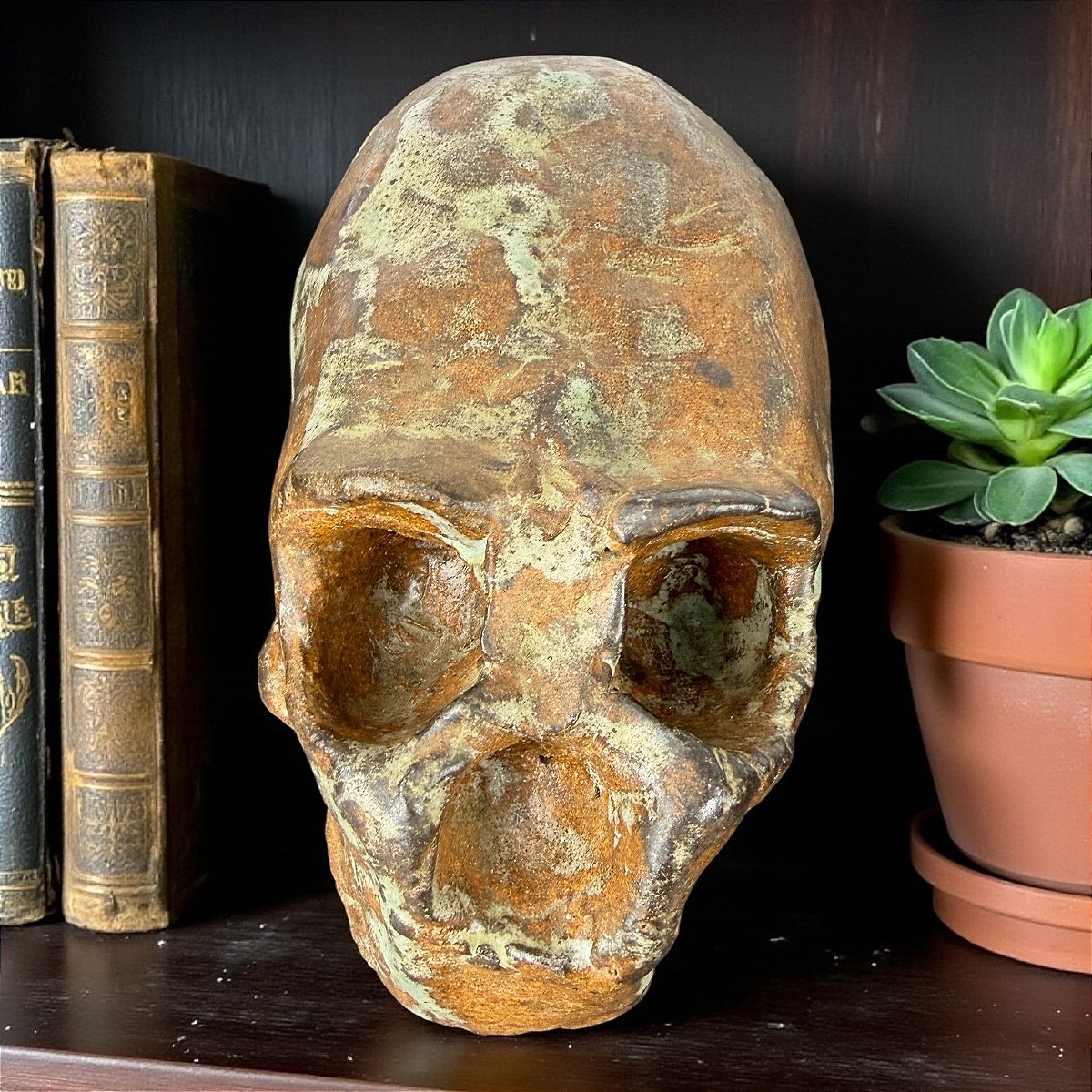 Sculpture Of A Hominid Specimen In Glazed Sandstone – Collection – Cabinet Of Curiosities – 20th Century-photo-1