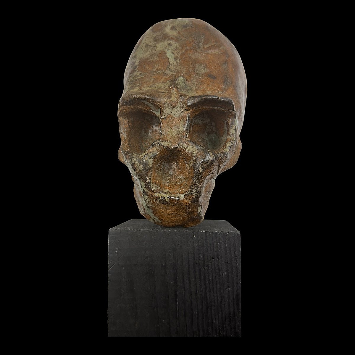 Sculpture Of A Hominid Specimen In Glazed Sandstone – Collection – Cabinet Of Curiosities – 20th Century-photo-5