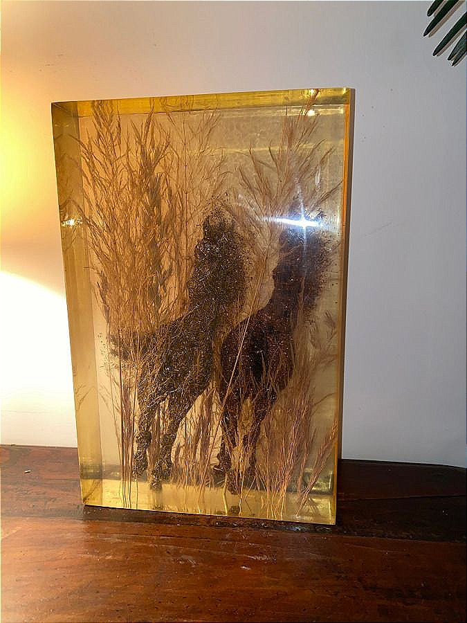 Sculpture Inclusions de résine "Deux Chevaux au Galop" (Circa 1960) Pierre Giraudon (1923-2012)-photo-3