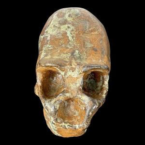 Sculpture Of A Hominid Specimen In Glazed Sandstone – Collection – Cabinet Of Curiosities – 20th Century