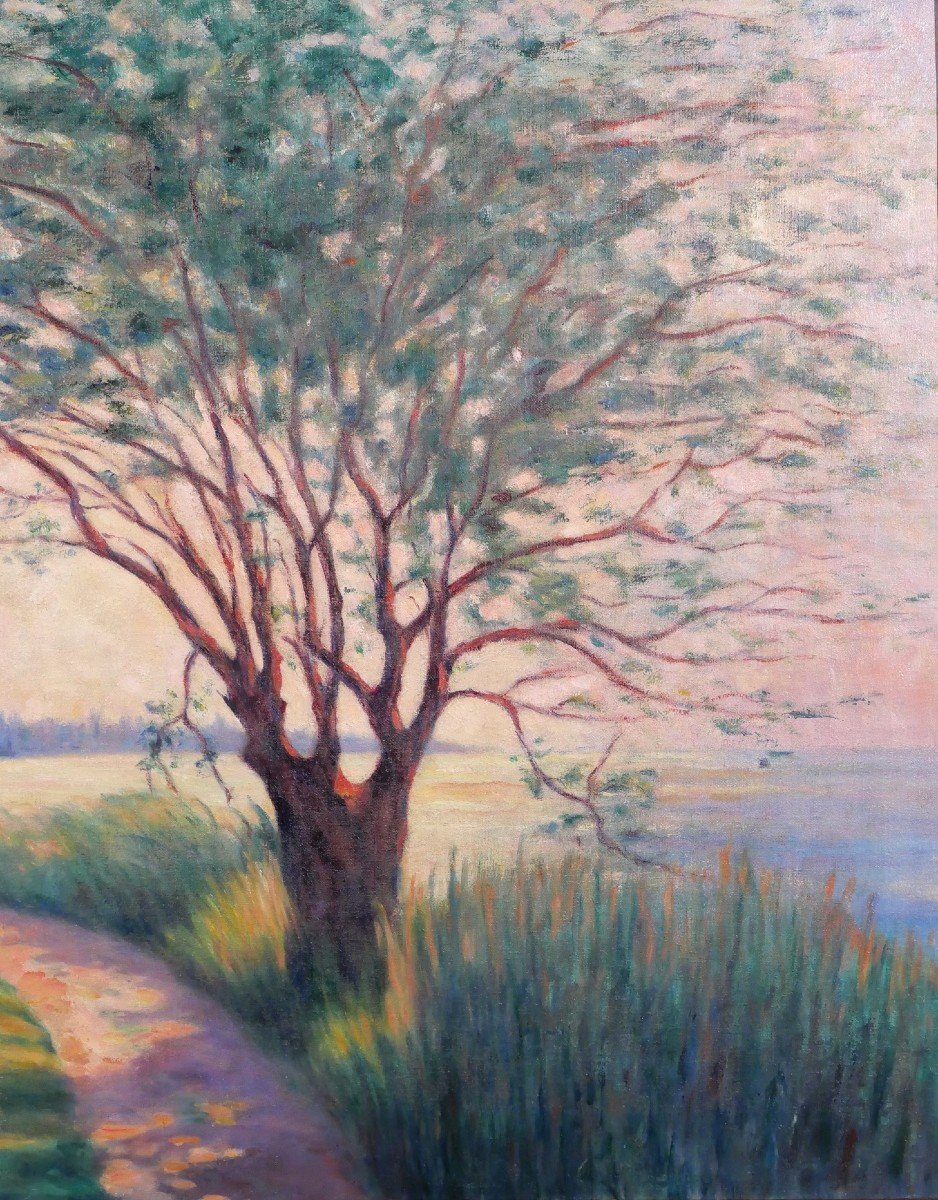 Jean Lubet 19-20th Landscape With Tree, Large Painting, 1908-photo-1