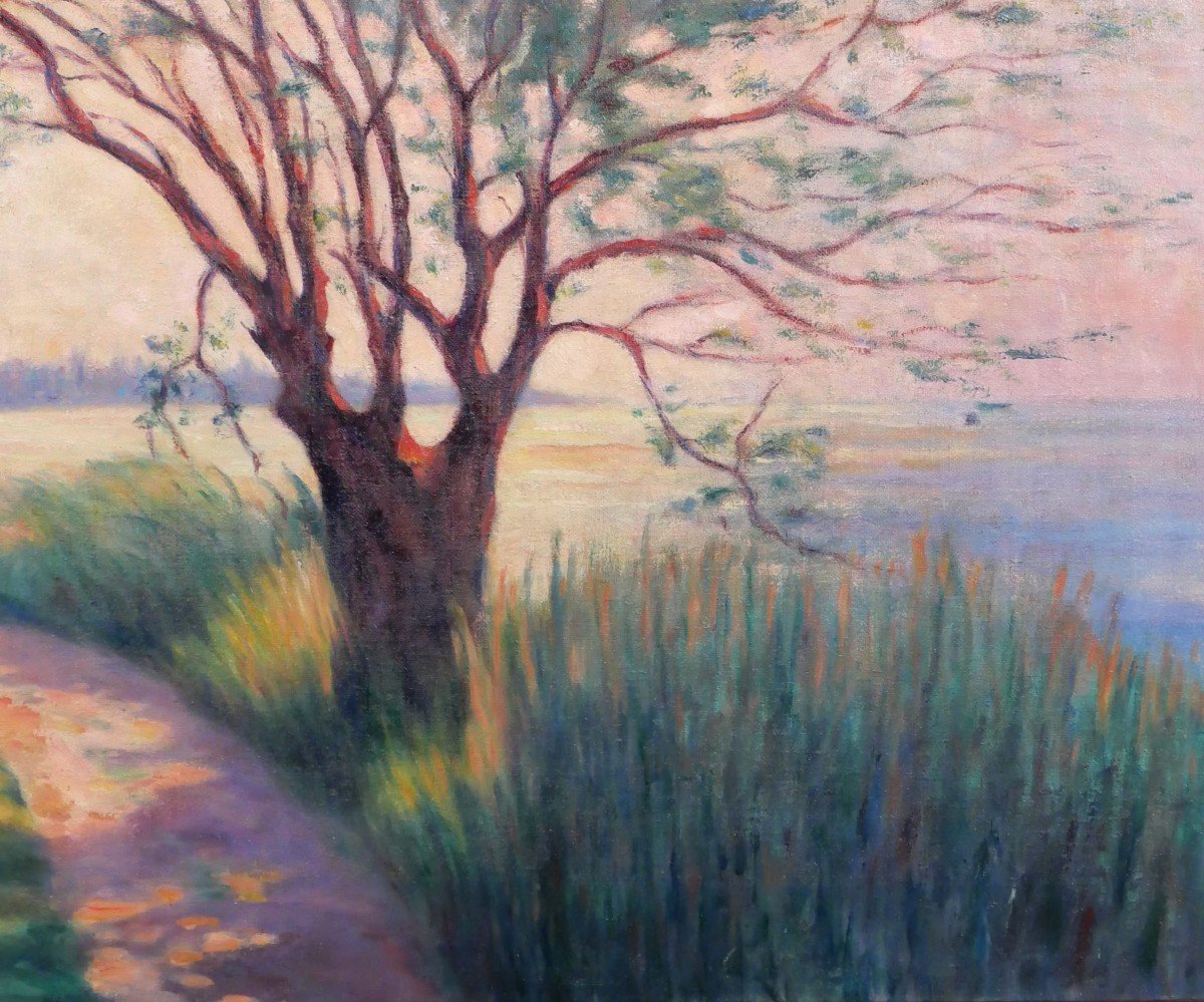 Jean Lubet 19-20th Landscape With Tree, Large Painting, 1908-photo-4