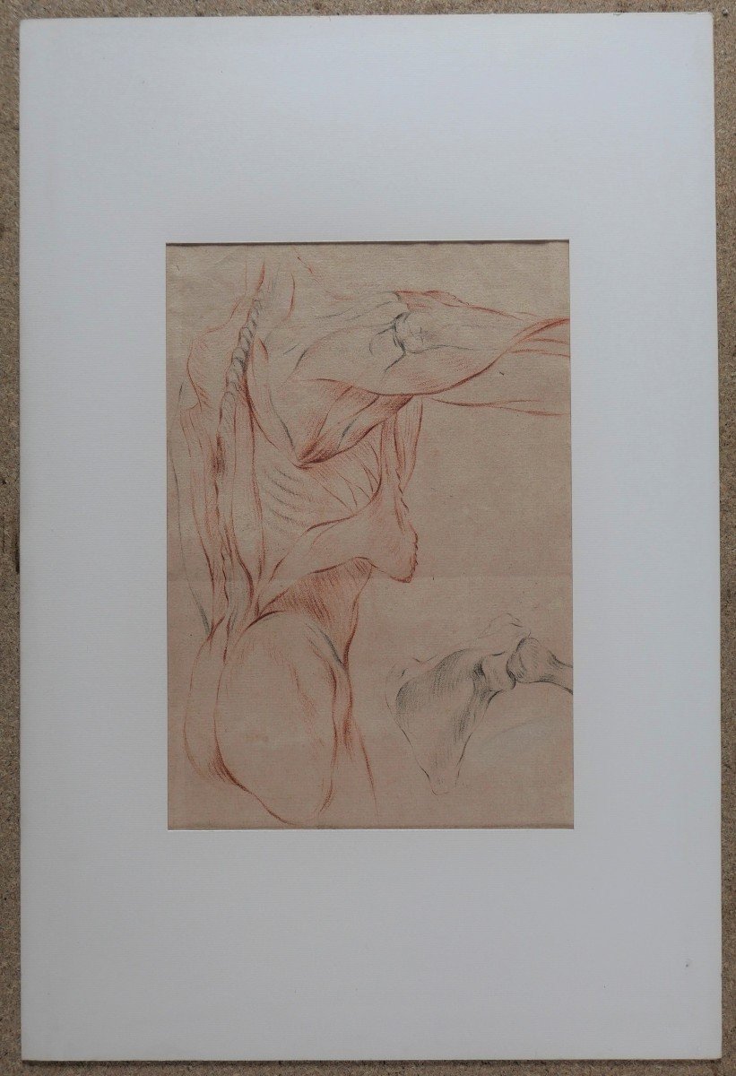 French School Circa 1790-1800, Study Of The Muscles Of The Body, Drawing-photo-2