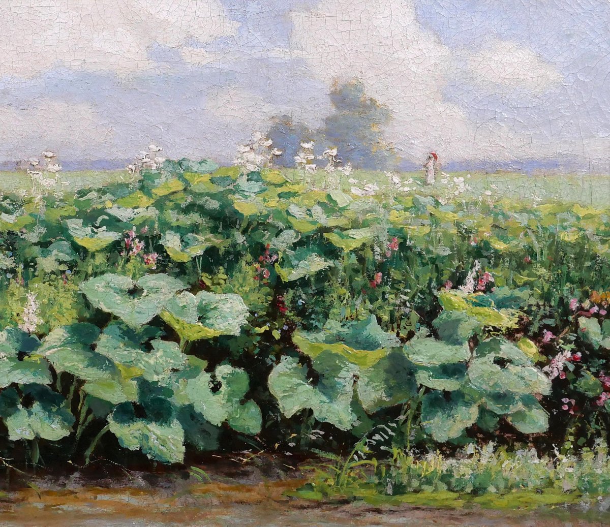 Gérard Van Luppen (att. To) 1834-1891 Landscape With Plants In Modave (belgium), Painting, 1883-photo-4