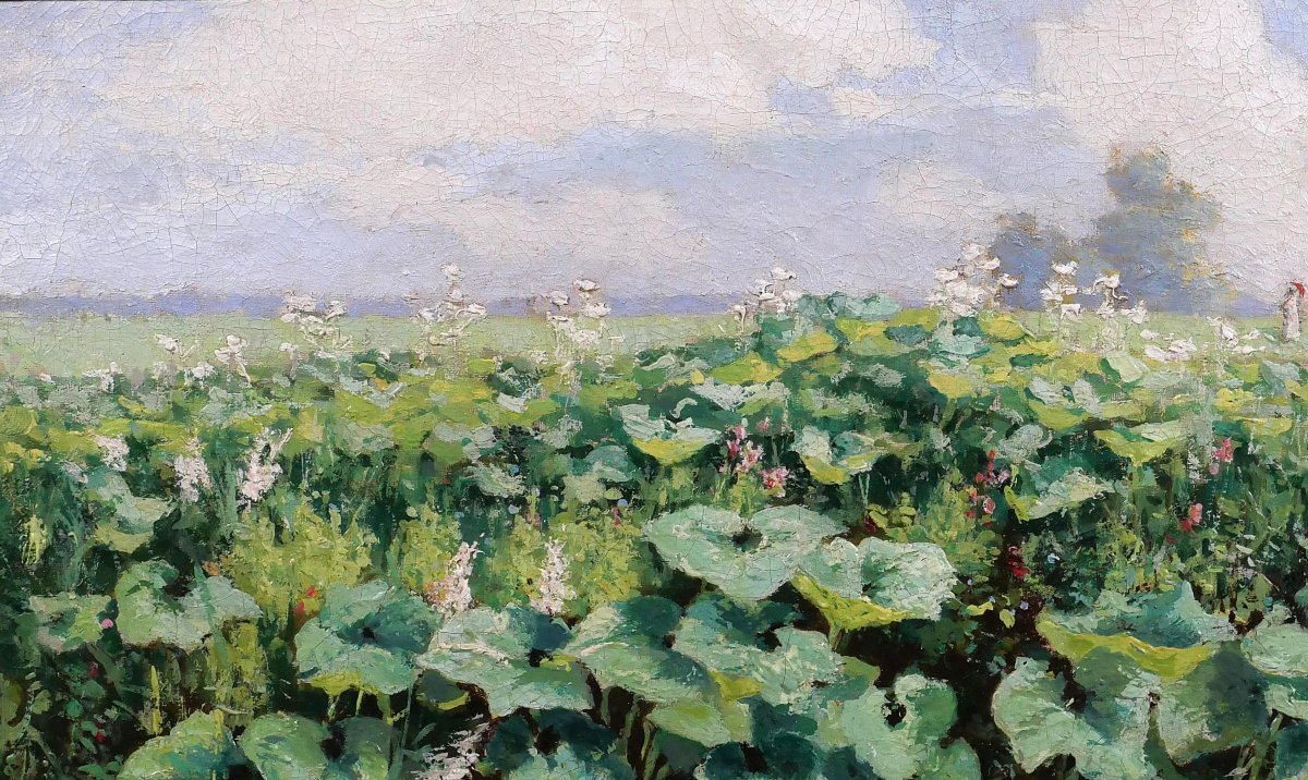 Gérard Van Luppen (att. To) 1834-1891 Landscape With Plants In Modave (belgium), Painting, 1883-photo-1