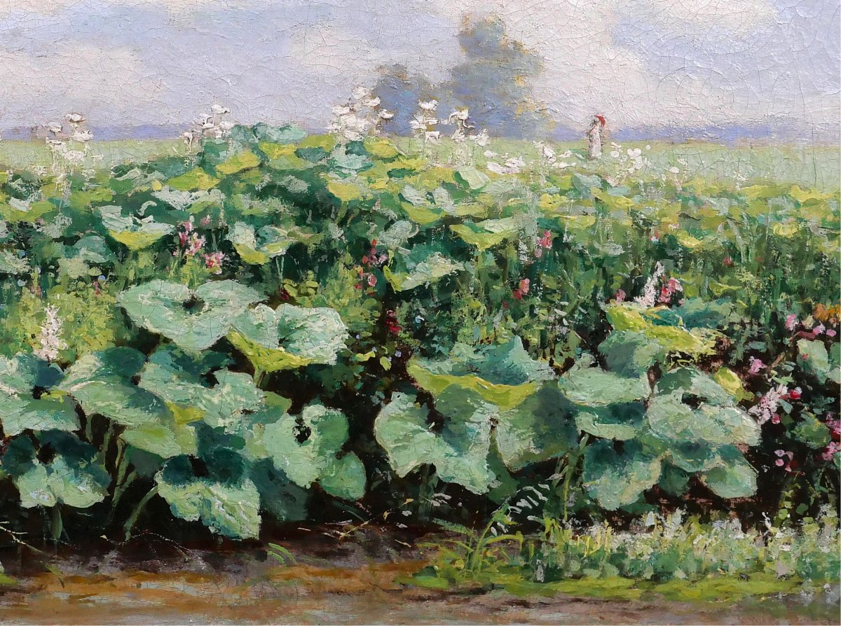 Gérard Van Luppen (att. To) 1834-1891 Landscape With Plants In Modave (belgium), Painting, 1883-photo-3