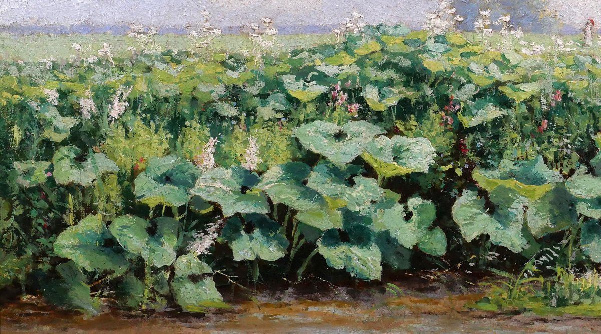 Gérard Van Luppen (att. To) 1834-1891 Landscape With Plants In Modave (belgium), Painting, 1883-photo-4