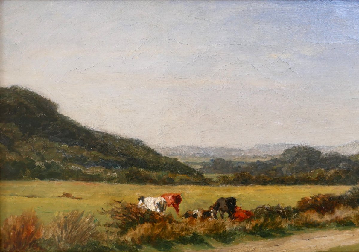 Charles Tschaggeny 1815-1894 Belgium, Ardennes Landscape, Painting Circa 1880 Wallonia-photo-3