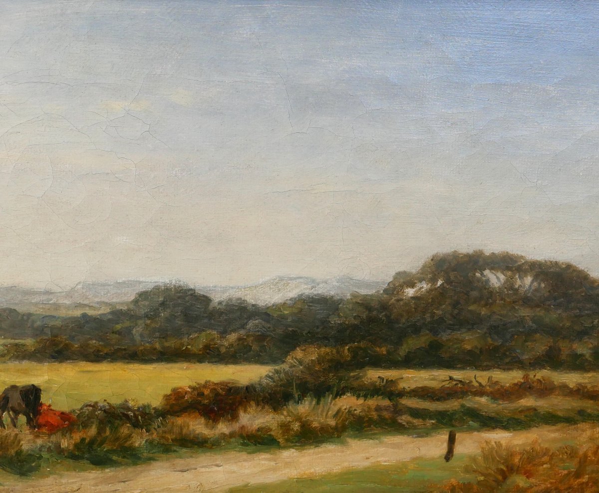 Charles Tschaggeny 1815-1894 Belgium, Ardennes Landscape, Painting Circa 1880 Wallonia-photo-4