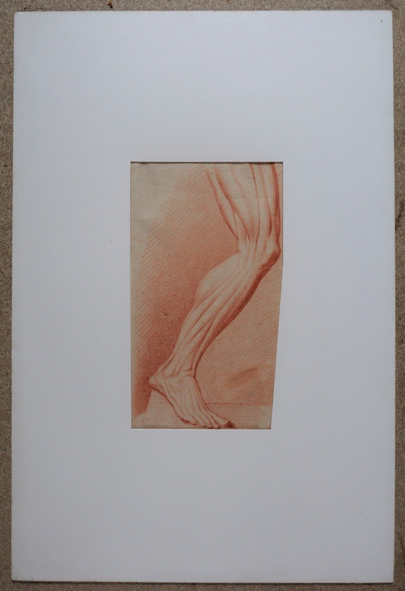 French School, Late 18th Century, Study Of The Muscles Of The Leg, Drawing-photo-2