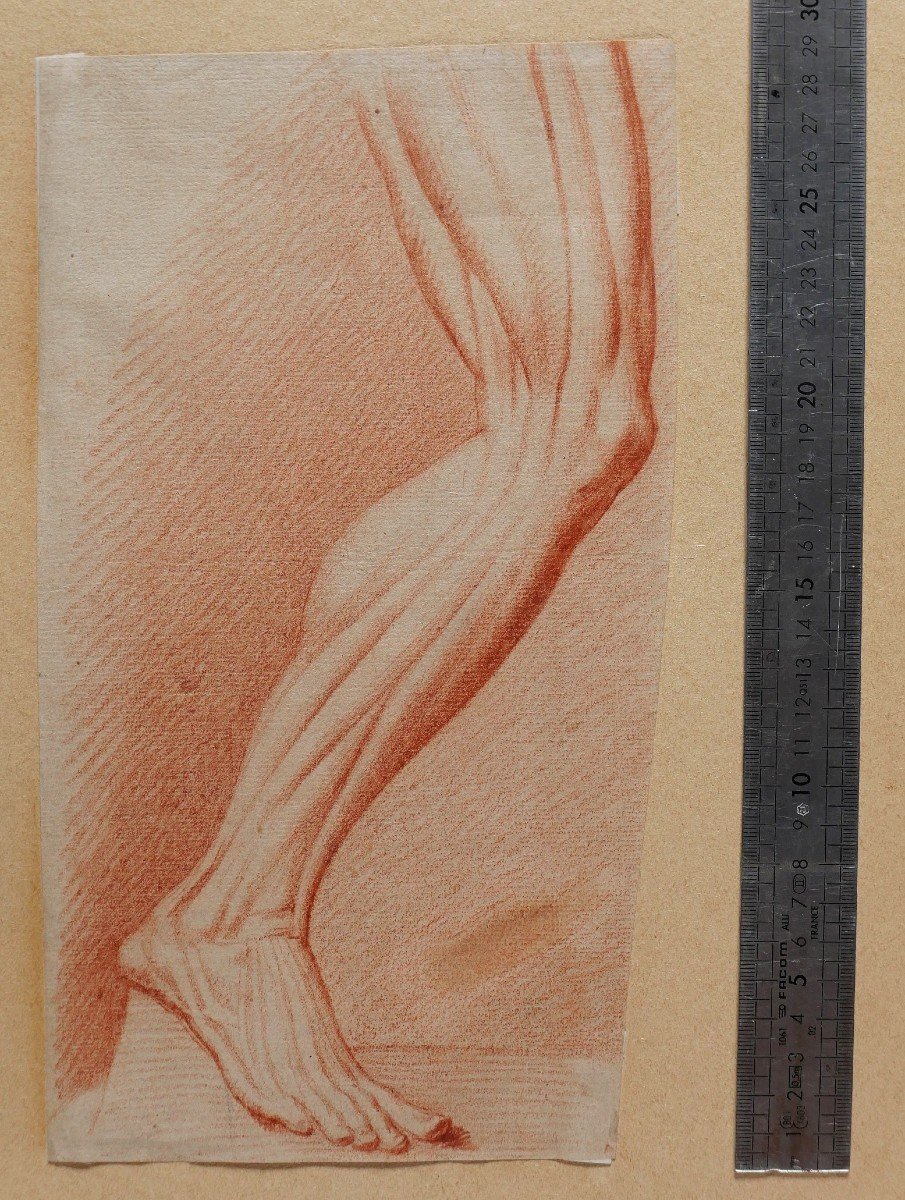 Ecole française fin 18e siècle, étude des muscles de la jambe, dessin-photo-3