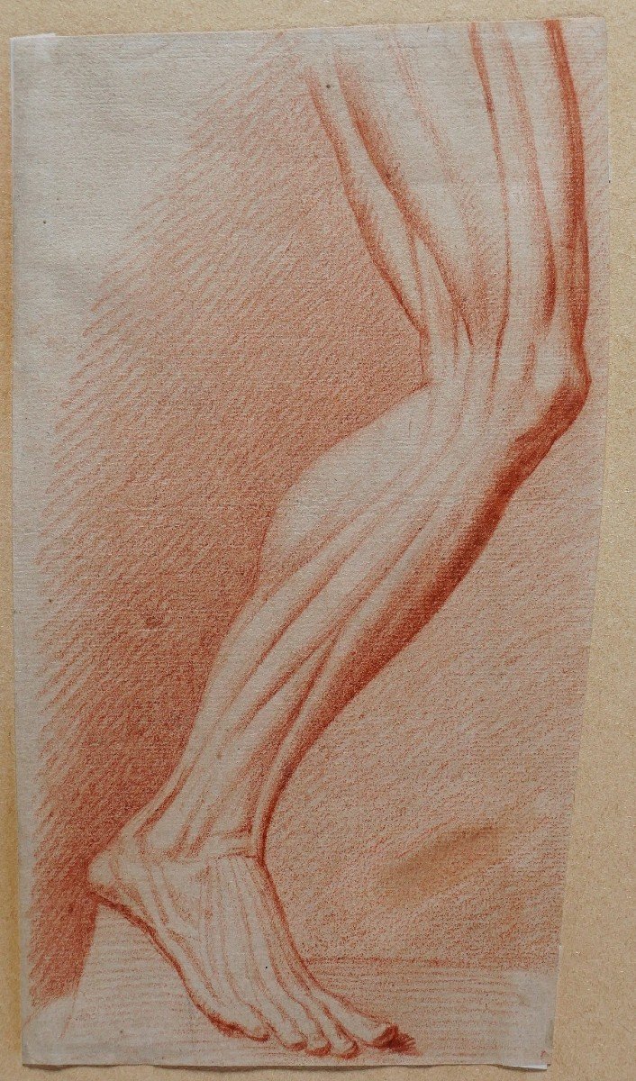 French School, Late 18th Century, Study Of The Muscles Of The Leg, Drawing