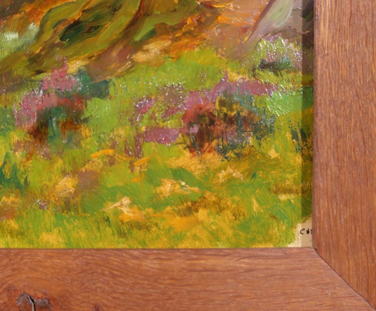 Charles Wislin (1852-1932) Lau-balagnas (pyrenees), Landscape, Painting, 1919-photo-6