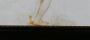 1762194-alb-6a0b3fe348b88.jpg