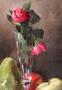 1839207-alb-6ad12964f29d0.jpg
