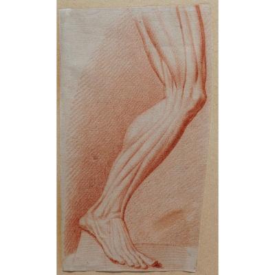 Ecole française fin 18e siècle, étude des muscles de la jambe, dessin