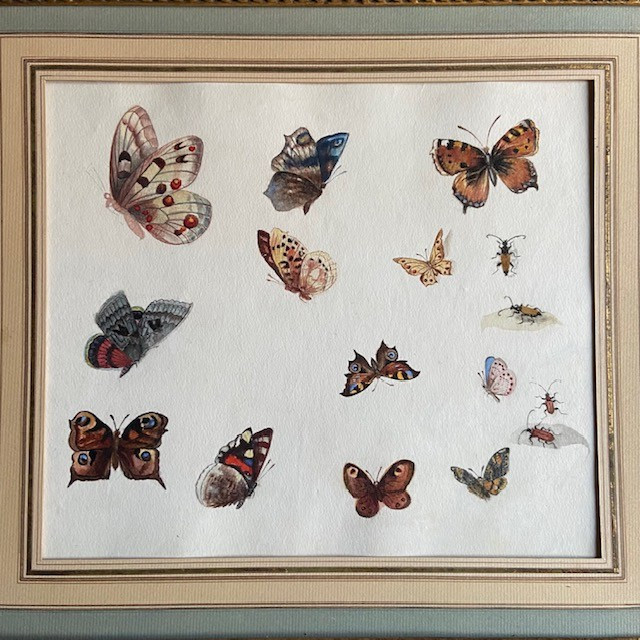 Ecole Française du XIXe siècle, étude de papillons et coléoptères, gouache et aquarelle, cadre -photo-2