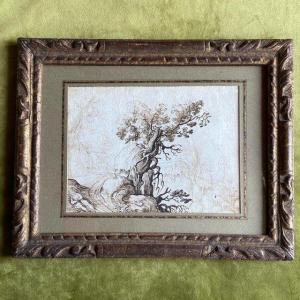 17th Century Florentine School, Tree And Character, Landscape, Pen And Ink, Old Frame