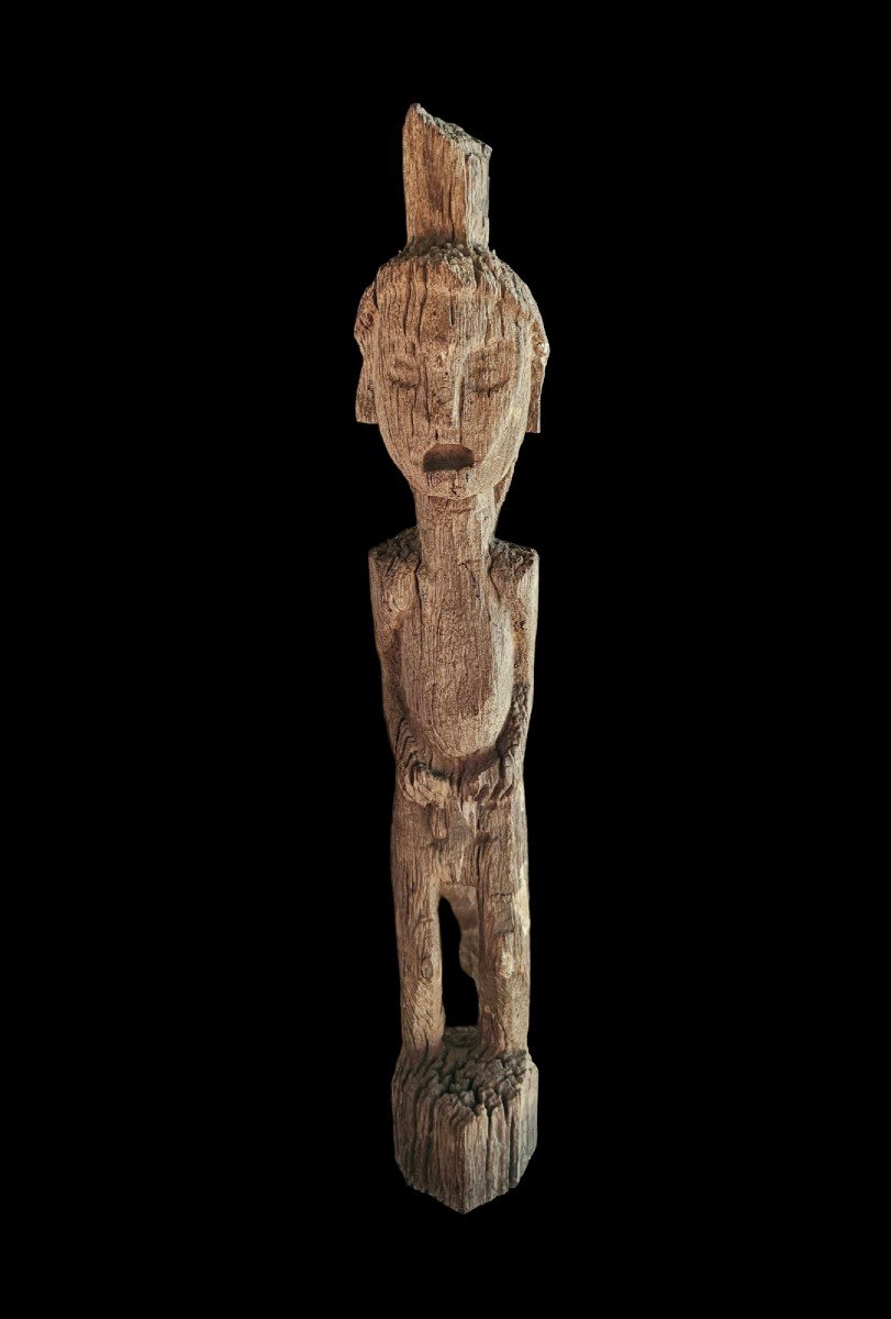 Guerrier Dayak Bornéo Kalimantan Indonésie XIXème Siècle