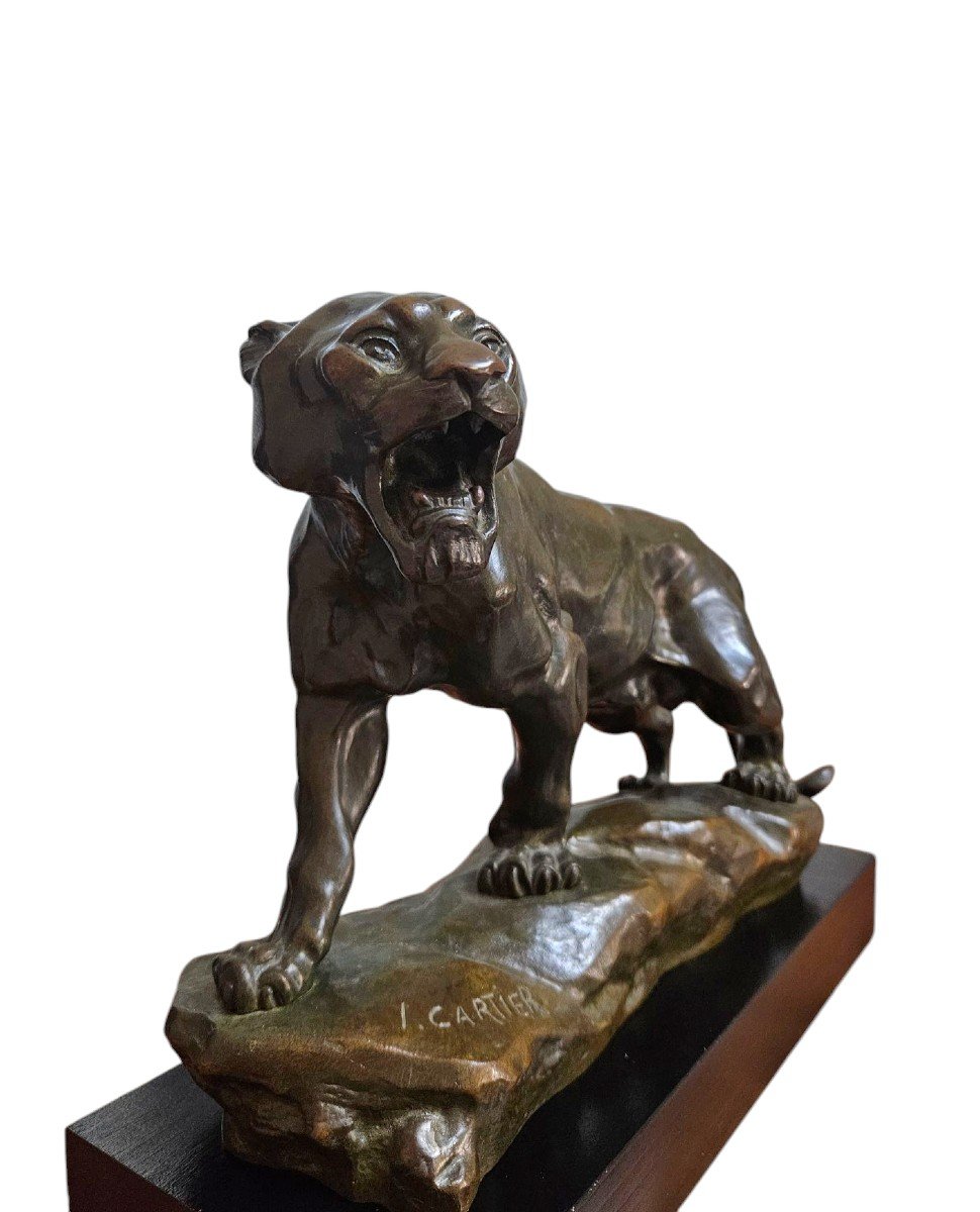 Thomas Cartier Bronze Panther Circa 1910-photo-3