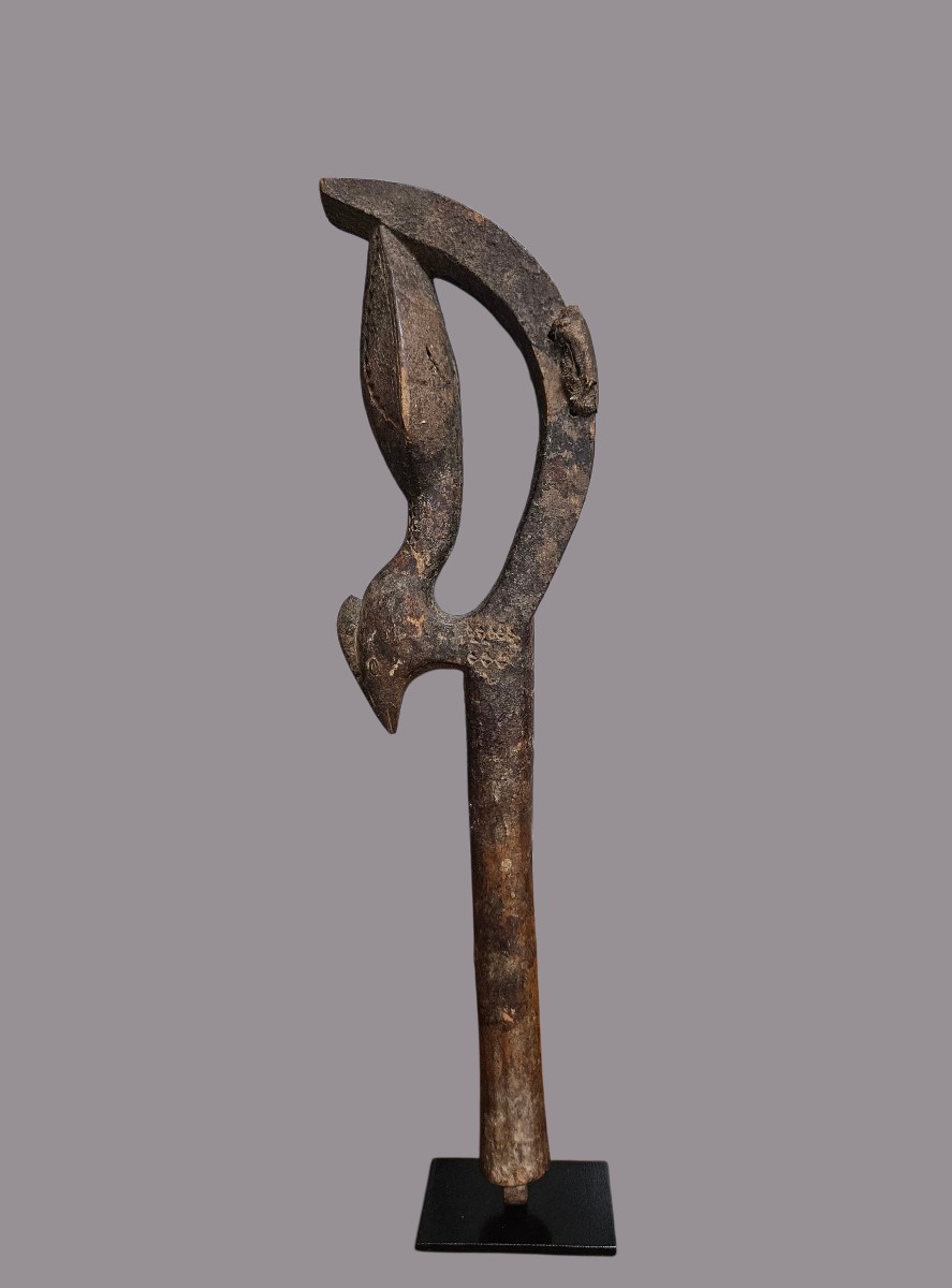 Musical Hammer, Baoulé, Republic Of Ivory Coast.-photo-3