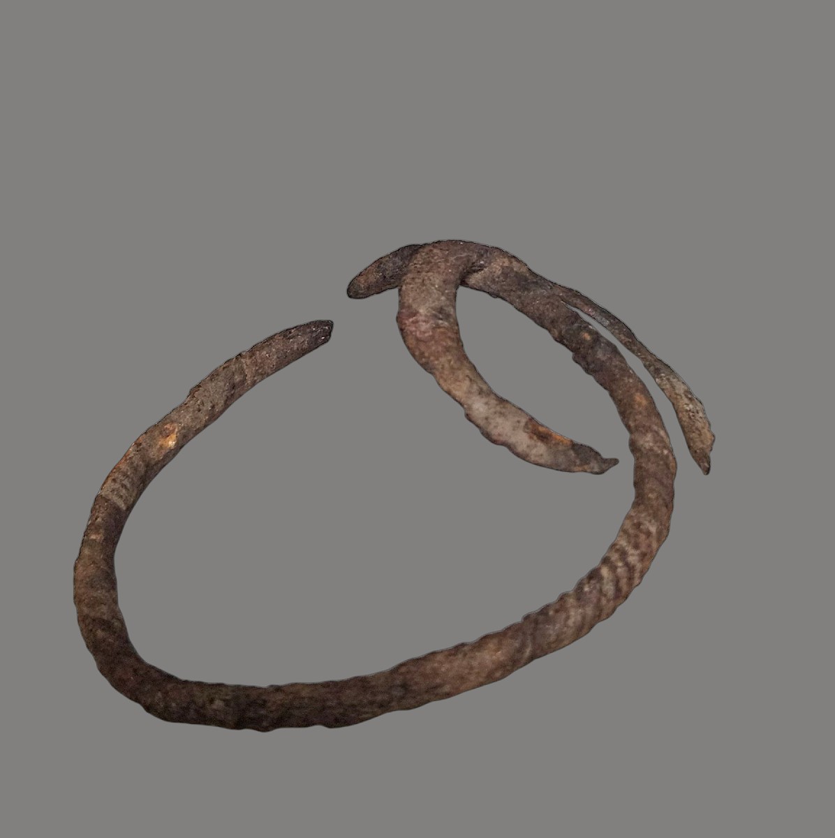 Senufo Bracelet, Nyiakayi (nyikaryi) Subgroup, Korhogo Region, Ivory Coast, 19th Century-photo-4