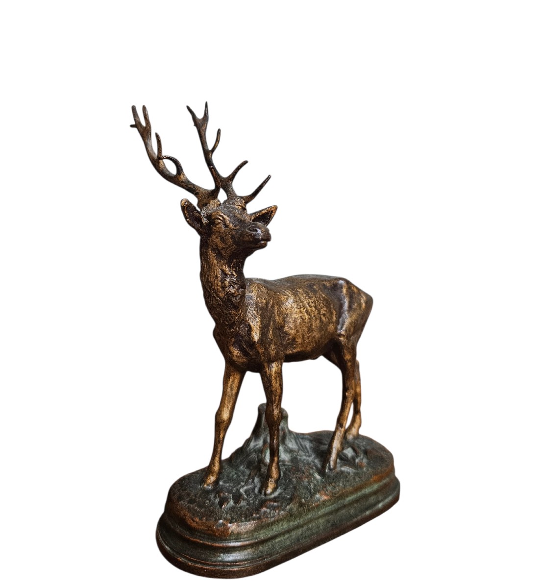 Cerf aux 12 cors Alfred Dubucand 1828 - 1903-photo-3