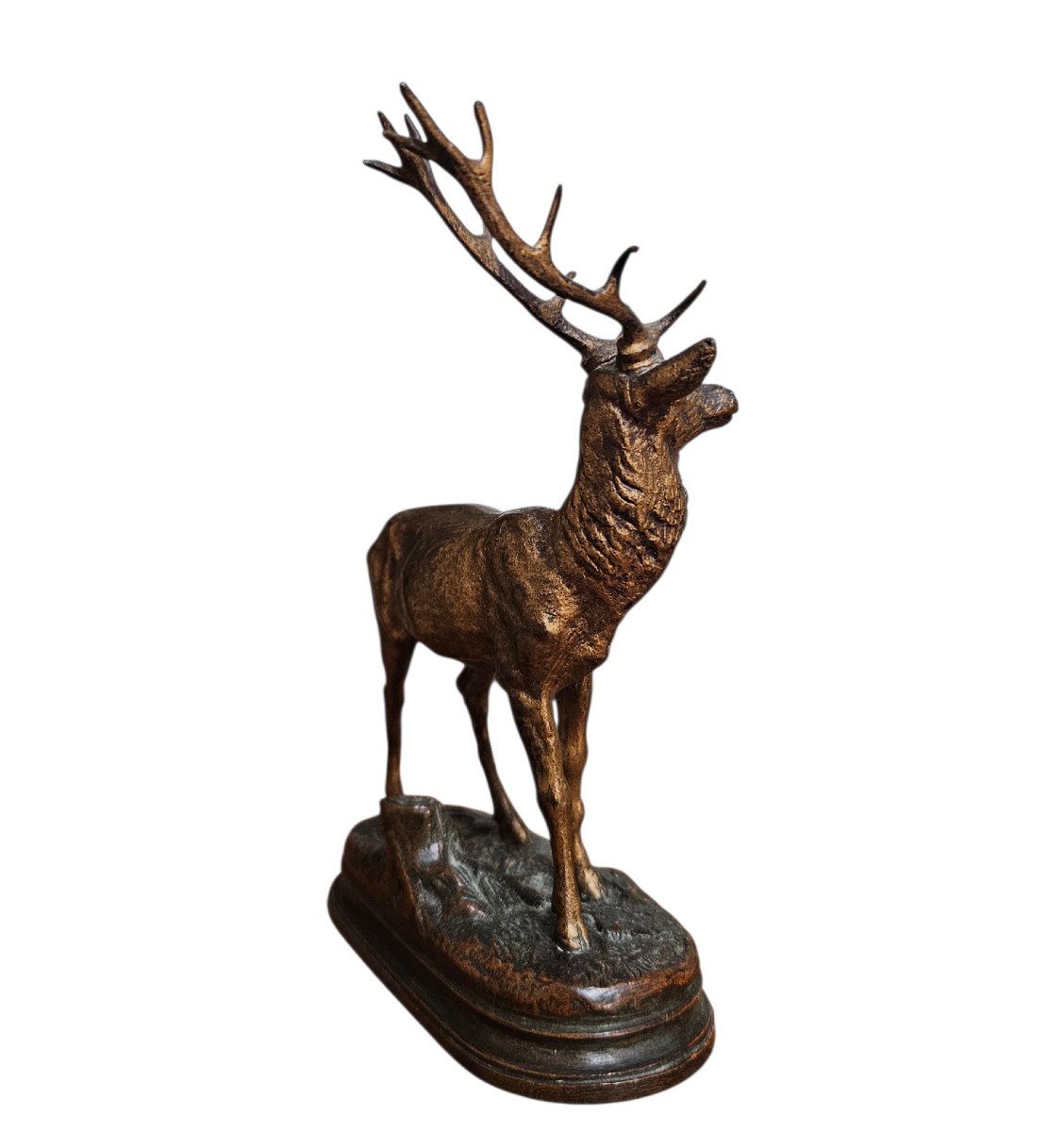 Cerf aux 12 cors Alfred Dubucand 1828 - 1903-photo-4