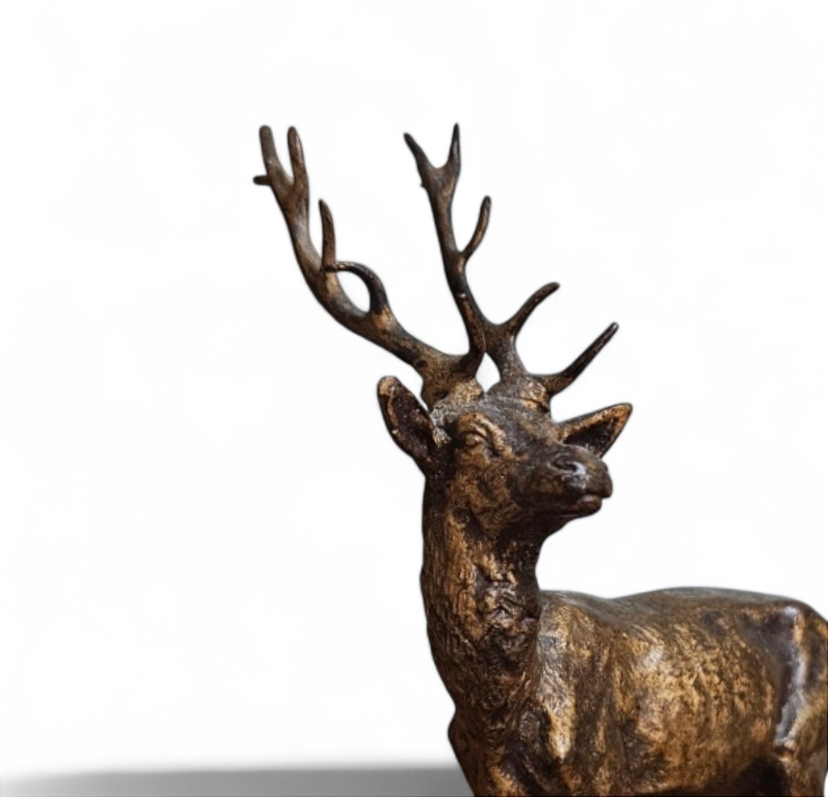 Cerf aux 12 cors Alfred Dubucand 1828 - 1903-photo-3