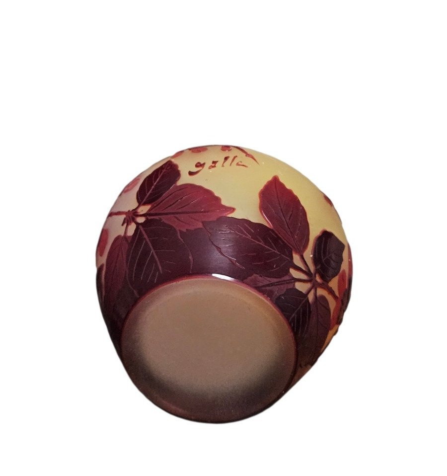 Vase  Emile Gallé - Art Nouveau-photo-3