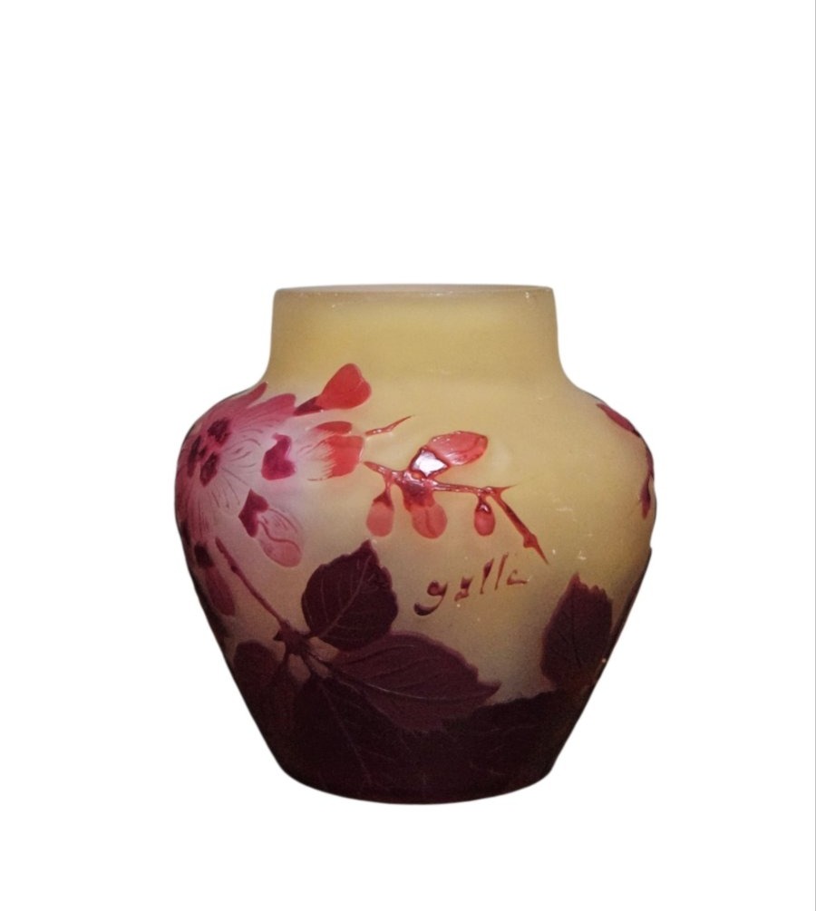 Vase  Emile Gallé - Art Nouveau