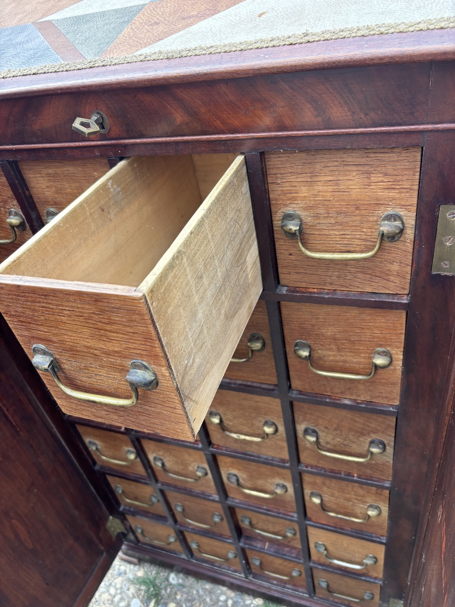 Mahogany Cabinet With 20 Drawers – 19th Century-photo-3