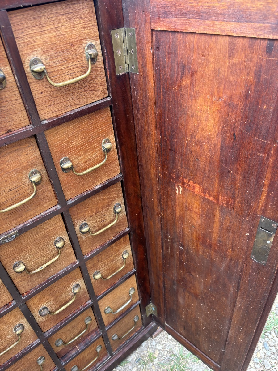 Mahogany Cabinet With 20 Drawers – 19th Century-photo-4