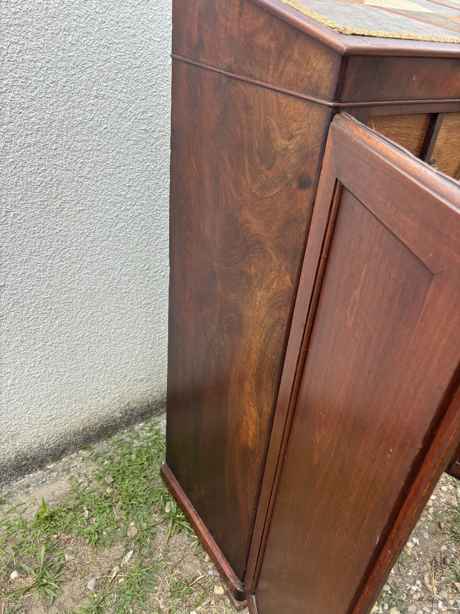 Mahogany Cabinet With 20 Drawers – 19th Century-photo-3