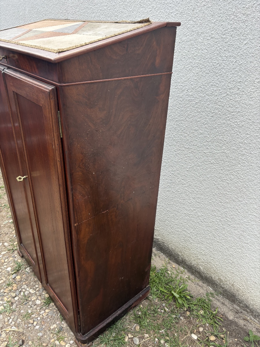Mahogany Cabinet With 20 Drawers – 19th Century-photo-4
