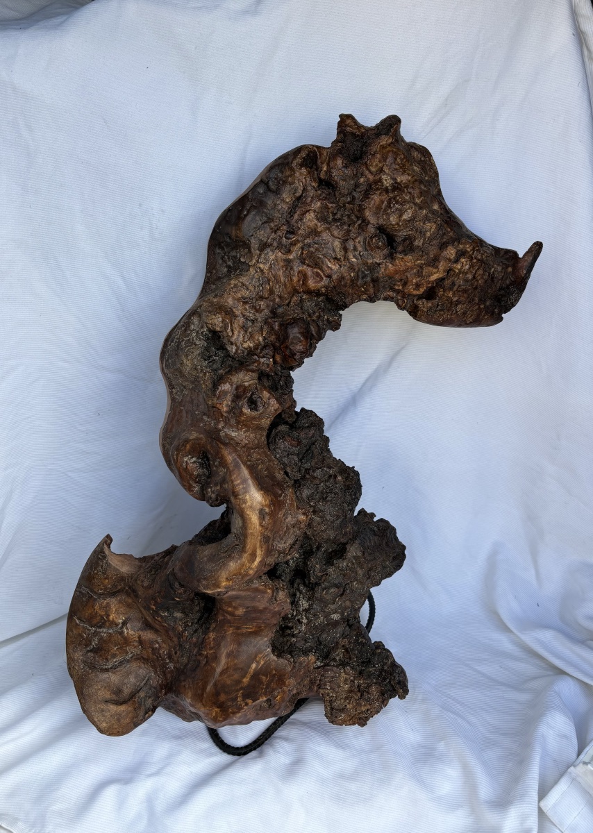 Sculpture en bois signée Étienne Balmadier dit « Balma » 