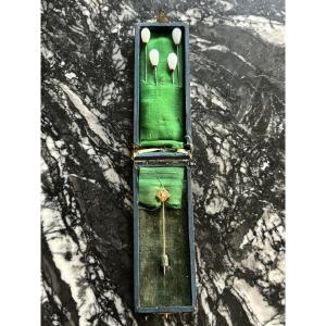 Set Of Antique Pins In Their Case