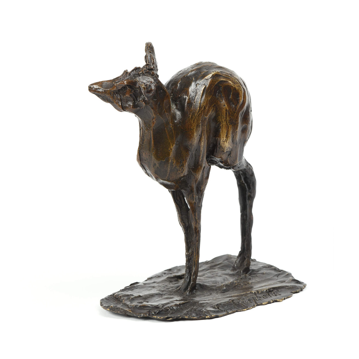 Guido Righetti (1875-1958) - "gazelle Dig-dig"-photo-3