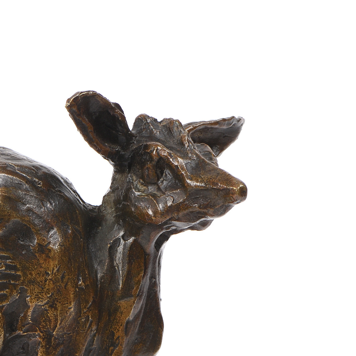 Guido Righetti (1875-1958) - "gazelle Dig-dig"-photo-4
